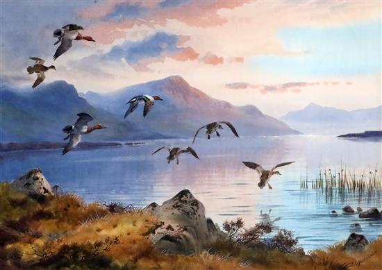 § John Cyril Harrison (1898-1985) Early Morning Widgeon 18.5 x 13in.